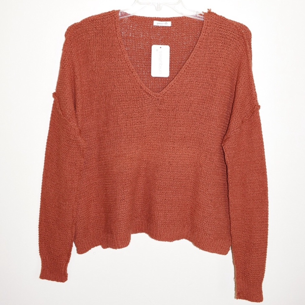 NWT Boutique Waverly V-Neck Sweater Rust